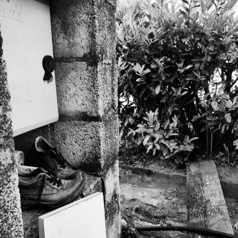 BoSpiSpi_01