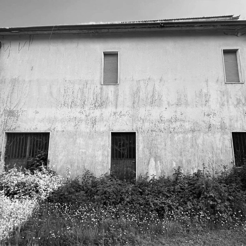 BoSpiSpi_02