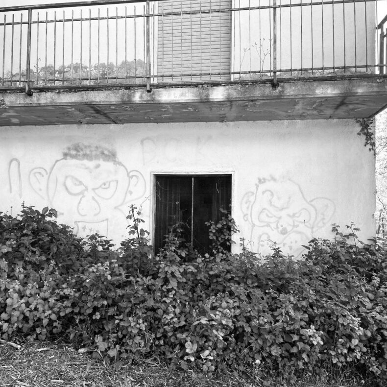 BoSpiSpi_06