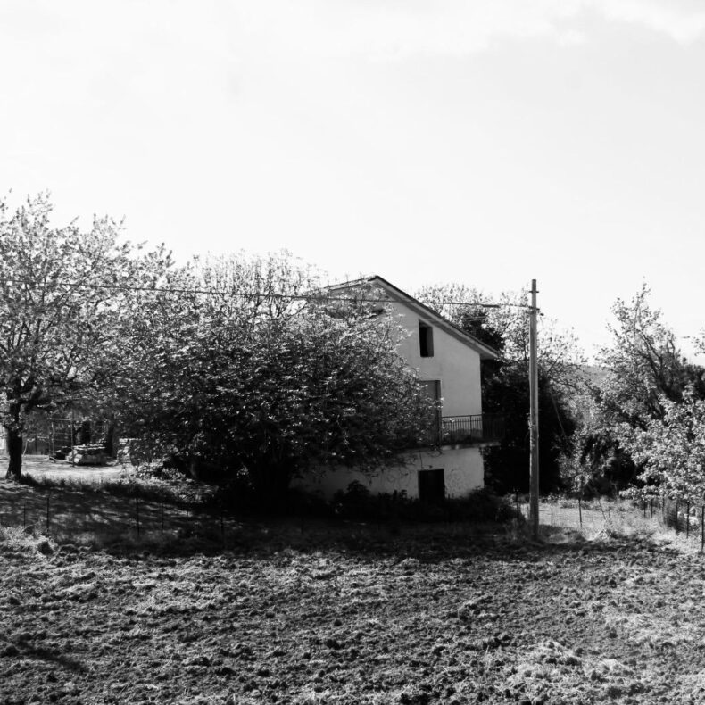 BoSpiSpi_08