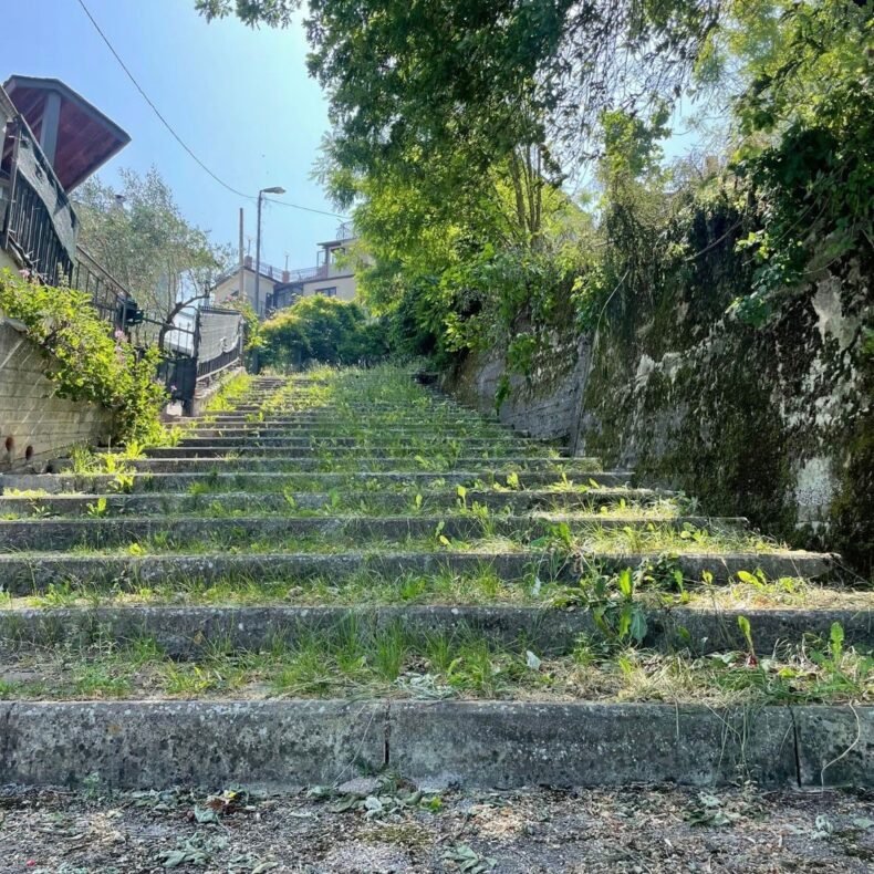 BruDeMa_01