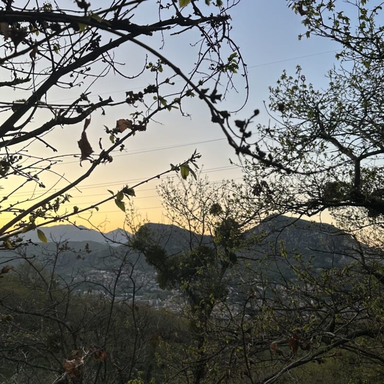 DeMaio_1