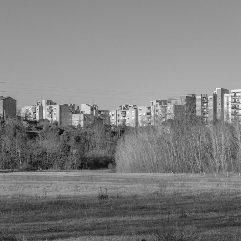 CRIDAN_04